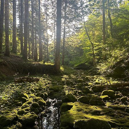 Wild Escape Racha Villa Ambrolauri Dış mekan fotoğraf