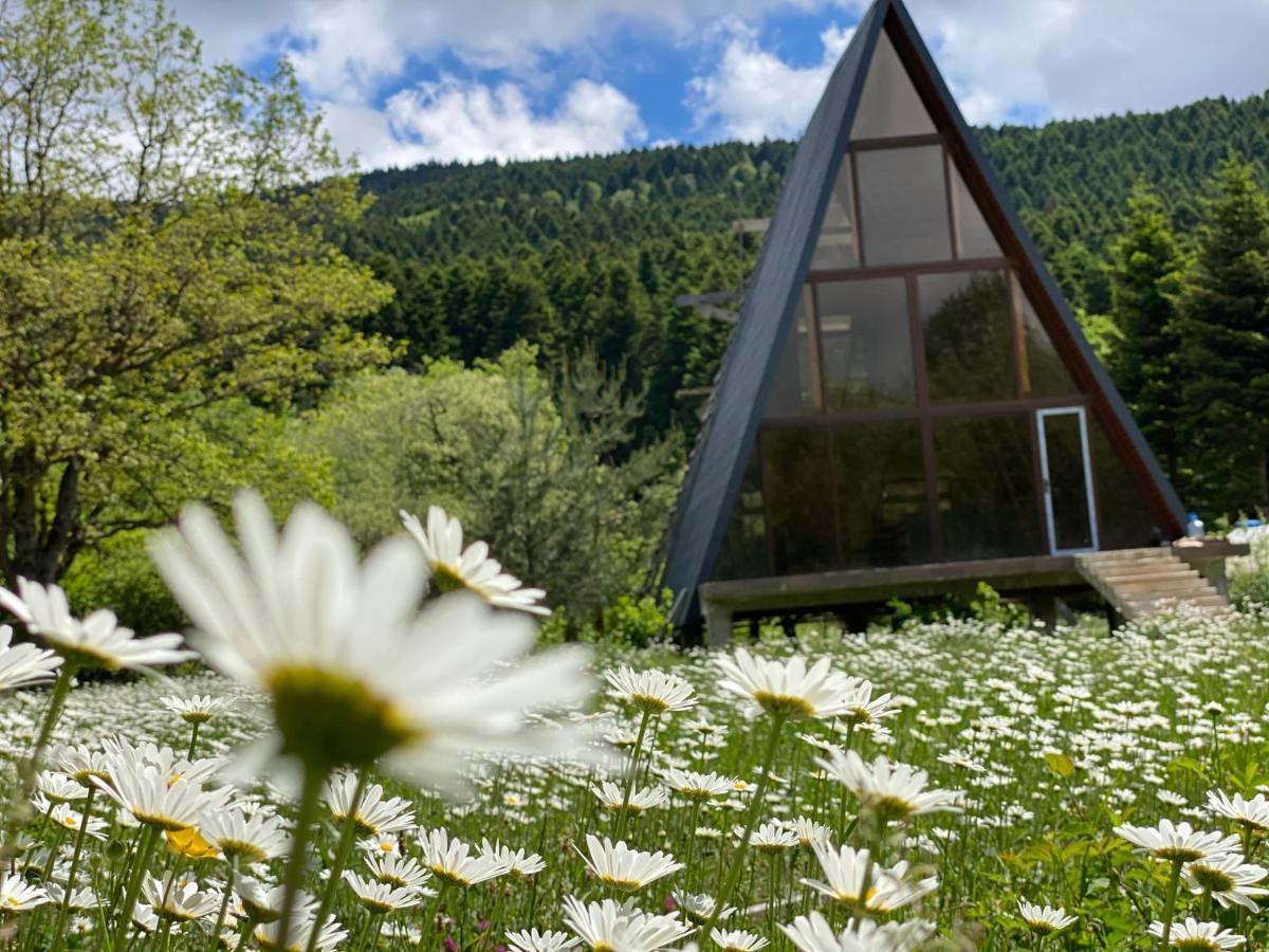 Wild Escape Racha Villa Ambrolauri Dış mekan fotoğraf