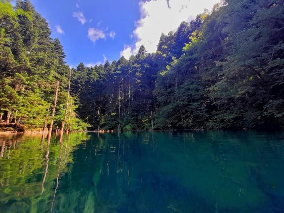 Wild Escape Racha Villa Ambrolauri Dış mekan fotoğraf